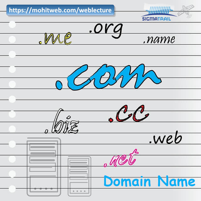 The Domain Name